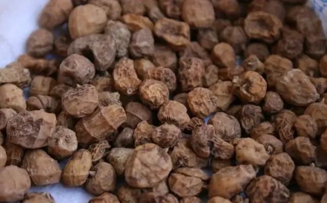 Legume - Tiger Nut (nuca tigru)