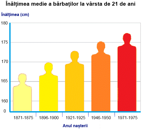 Studiul înălțimii europenilor (grafic)