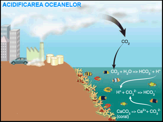 Acidificarea oceanelor 2