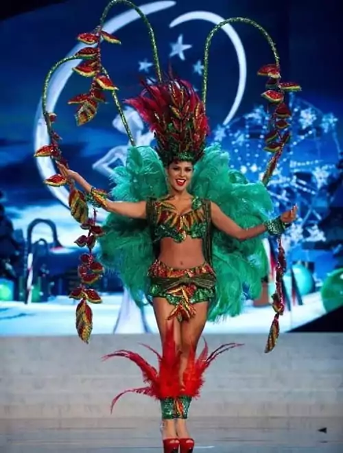 Costumații - Miss Univers 14