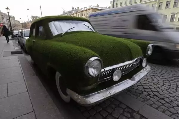 Volga cu iarbă