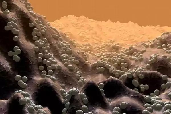 Bacterii pe piele