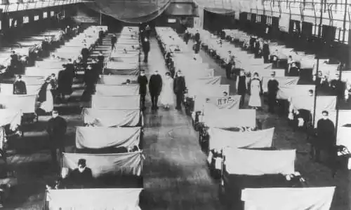Fapte din istorie inexacte - Gripa spaniolă