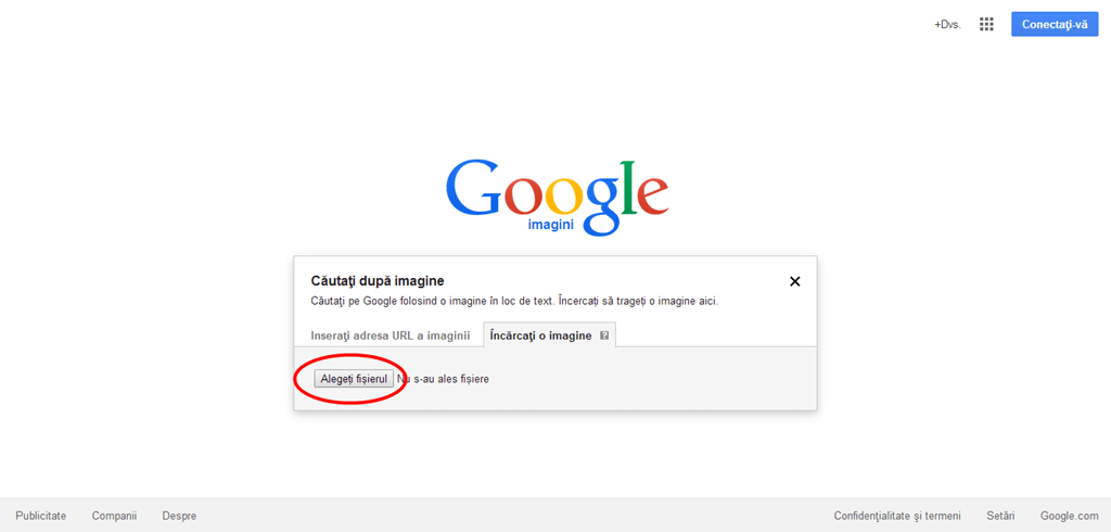 Ce sa caut pe google