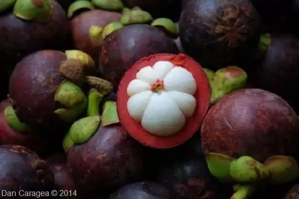 Fructe - Mangostan