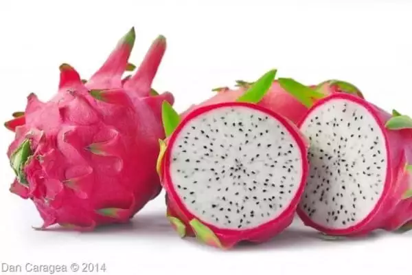 Fructe - Pitaya