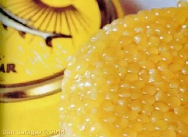 Cele mai scumpe substanțe - Caviar iranian
