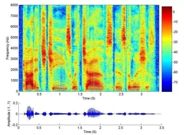 Spectrograma vocii