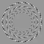 Iluzia spiralei (cercuri)