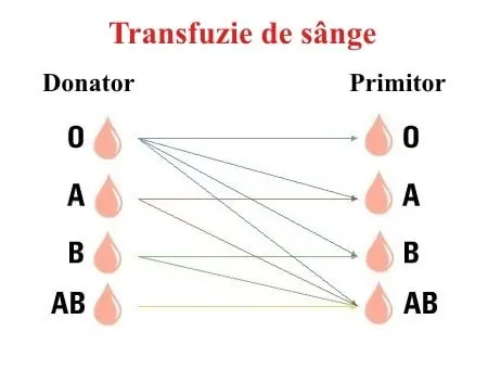 Schimbarea tipului de sânge - Transfuzie de sânge