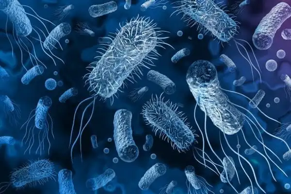 Infecții rezistente la antibiotice - Rezistența la antibacterieni