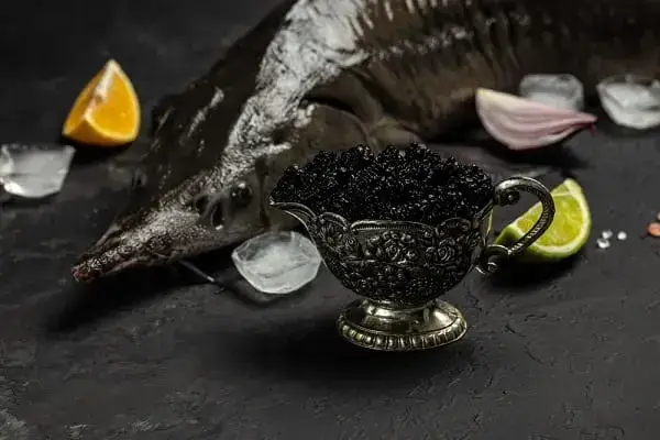 Imitație (caviar din plante)